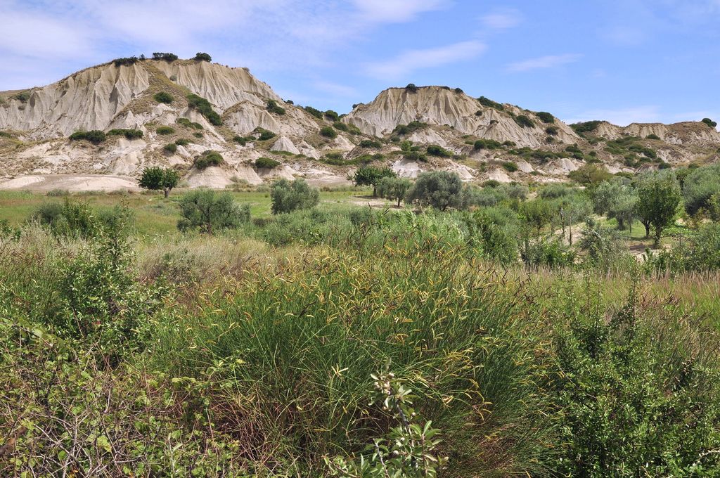 Craco