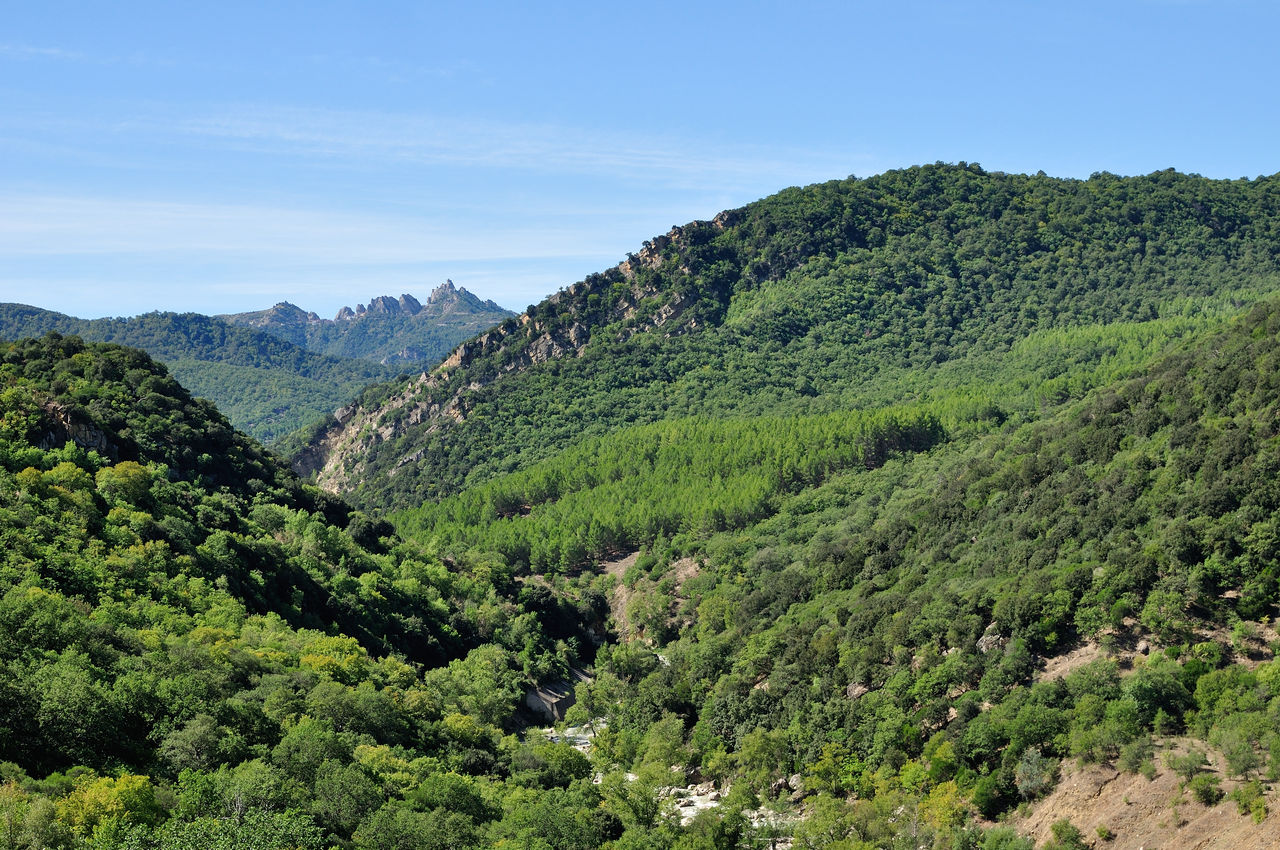 Parco di Gallipoli Cognato Piccole Dolomiti Lucane