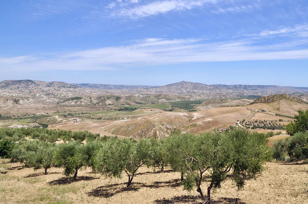Craco